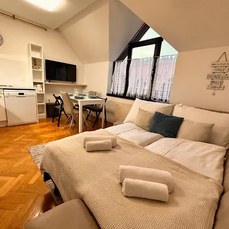 Apartament Charming Loft Lublana