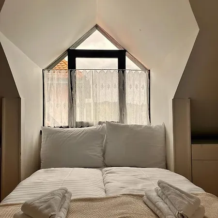 Charming Loft Apartment Laibach